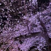 はなび☆明るい清楚ロリ 思い出🌸 JKサークル