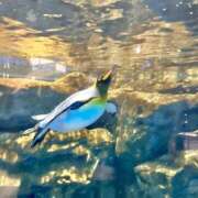 ヒメ日記 2025/12/10 07:27 投稿 きらり おいらん(池袋)