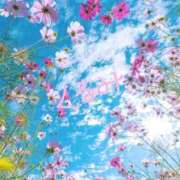 ヒメ日記 2025/10/14 15:30 投稿 くるみ 福盛