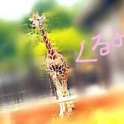 ヒメ日記 2025/10/26 21:10 投稿 くるみ 福盛