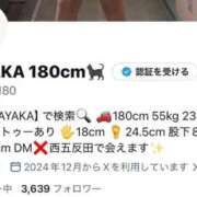 ヒメ日記 2026/04/12 12:29 投稿 SAYAKA TALL