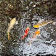 ヒメ日記 2025/10/15 10:44 投稿 純 丸妻 西船橋店