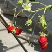 千春／ちはる ♡初投稿♡ 五反田アネージュ（ユメオト）