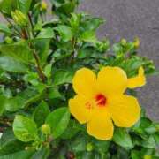 ヒメ日記 2025/10/15 22:55 投稿 桐野　ちか 熟女パラダイス甲府店（カサブランカグループ）