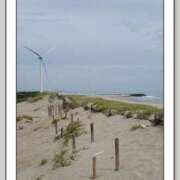 ヒメ日記 2025/11/14 15:05 投稿 桐野　ちか 熟女パラダイス甲府店（カサブランカグループ）