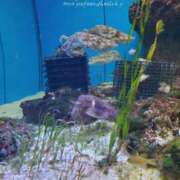 ヒメ日記 2025/12/28 15:41 投稿 桐野　ちか 熟女パラダイス甲府店（カサブランカグループ）