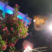 ヒメ日記 2026/01/17 00:39 投稿 桐野　ちか 熟女パラダイス甲府店（カサブランカグループ）