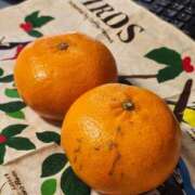 ヒメ日記 2026/02/16 12:45 投稿 桐野　ちか 熟女パラダイス甲府店（カサブランカグループ）