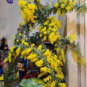 ヒメ日記 2026/02/20 20:39 投稿 桐野　ちか 熟女パラダイス甲府店（カサブランカグループ）