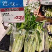 ヒメ日記 2026/06/08 18:25 投稿 桐野　ちか 熟女パラダイス甲府店（カサブランカグループ）