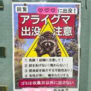 桐野　ちか 出勤のご案内です 熟女パラダイス甲府店（カサブランカグループ）