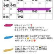 ヒメ日記 2026/02/24 19:55 投稿 はる 三つ乱本館