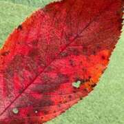 ヒメ日記 2025/12/02 20:10 投稿 宮脇まお(みやわきまお) 九州熟女　熊本店