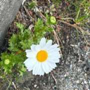 宮脇まお(みやわきまお) 春ですね❁⃘*.ﾟ 九州熟女　熊本店