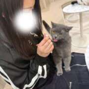 ヒメ日記 2026/03/13 15:29 投稿 美愛（みあ） NOA（ノア）