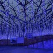 ヒメ日記 2025/12/31 14:01 投稿 まこと 新宿泡洗体デラックスエステ