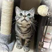 ヒメ日記 2025/10/24 01:36 投稿 みお 熊谷人妻城