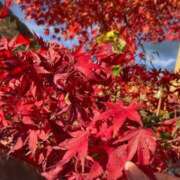 三条みか 赤に染まりたい季節 洗体アカスリとHなスパのお店