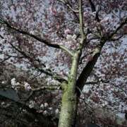 三条みか 3月16日お礼💌🍪 洗体アカスリとHなスパのお店（埼玉ハレ系）