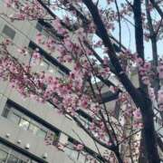 三条みか 3月17日お礼💌⚽️ 洗体アカスリとHなスパのお店（埼玉ハレ系）