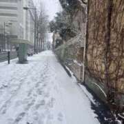 ヒメ日記 2026/02/09 18:54 投稿 みる 部活（ぶかつ）