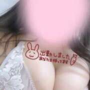 ヒメ日記 2025/10/31 11:01 投稿 唐獅子牡丹 オイルの奴隷