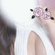 ヒメ日記 2025/11/13 08:00 投稿 唐獅子牡丹 オイルの奴隷