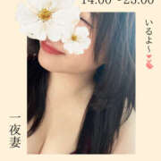 ヒメ日記 2025/10/21 10:09 投稿 四ノ宮りな 一夜妻