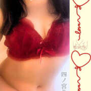 ヒメ日記 2025/11/12 07:09 投稿 四ノ宮りな 一夜妻