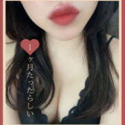 ヒメ日記 2025/11/14 13:39 投稿 四ノ宮りな 一夜妻