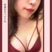 ヒメ日記 2025/11/19 11:59 投稿 四ノ宮りな 一夜妻