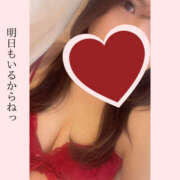 ヒメ日記 2025/11/29 12:19 投稿 四ノ宮りな 一夜妻