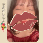 ヒメ日記 2025/12/08 21:19 投稿 四ノ宮りな 一夜妻