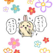 ヒメ日記 2026/03/10 15:49 投稿 四ノ宮りな 一夜妻