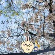 ヒメ日記 2026/04/02 15:39 投稿 四ノ宮りな 一夜妻