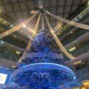 ヒメ日記 2025/12/22 19:49 投稿 あむ 麗しい人妻 新宿本店