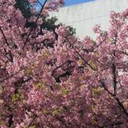 ヒメ日記 2026/02/28 19:39 投稿 あむ 麗しい人妻 新宿本店