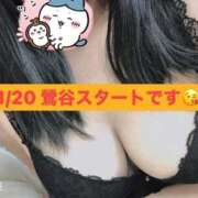 ヒメ日記 2026/01/19 20:19 投稿 今村 鶯谷デッドボール