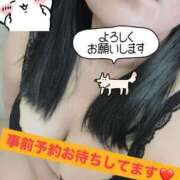 ヒメ日記 2026/03/08 10:49 投稿 今村 鶯谷デッドボール