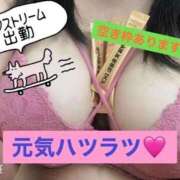 ヒメ日記 2026/03/14 11:19 投稿 今村 鶯谷デッドボール