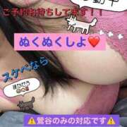 ヒメ日記 2026/04/17 11:01 投稿 今村 鶯谷デッドボール