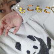 ヒメ日記 2026/02/19 06:57 投稿 めいか 佐世保人妻デリヘル「デリ夫人」