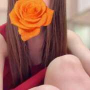 ヒメ日記 2026/03/15 12:16 投稿 神崎えみり ミセスレディ