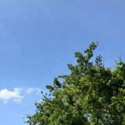 ヒメ日記 2026/04/22 09:46 投稿 神崎えみり ミセスレディ