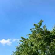 ヒメ日記 2026/09/13 08:16 投稿 神崎えみり ミセスレディ