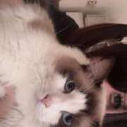 りあ【FG系列】 おはよう❣️ オトナdeフィーリングin宇都宮