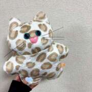 ヒメ日記 2025/11/24 23:20 投稿 りおな☆キレカワ癒し人気美女♪ いちご倶楽部