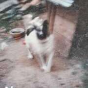 ヒメ日記 2025/10/23 17:55 投稿 かおり 熟女総本店