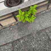 ヒメ日記 2025/10/17 16:41 投稿 高畑みき ウルトラプラチナム