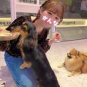 ヒメ日記 2025/11/07 20:01 投稿 星かんな 多恋人倶楽部